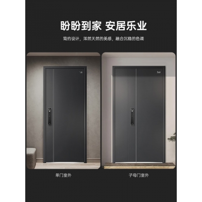 盼盼（Pan Pan）上品防盗门甲级家用安全门指纹锁子母门单门加高门头入户防撬防爆进户门 多维尔-单门-2050*960-外开 盼盼机械锁